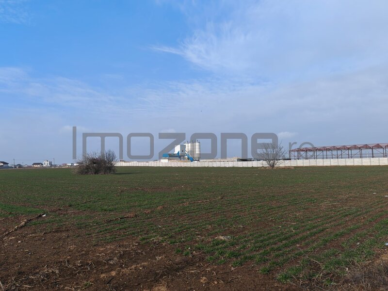 Dragomiresti Valea - Langa Centura, teren 31.200 mp, 35E/mp