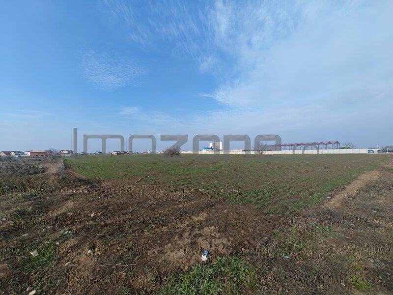 Dragomiresti Valea - Langa Centura, teren 31.200 mp, 35E/mp