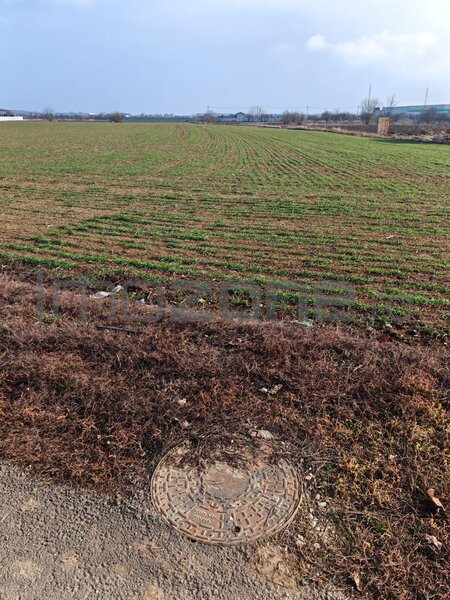 Dragomiresti Valea - Langa Centura, teren 31.200 mp, 35E/mp