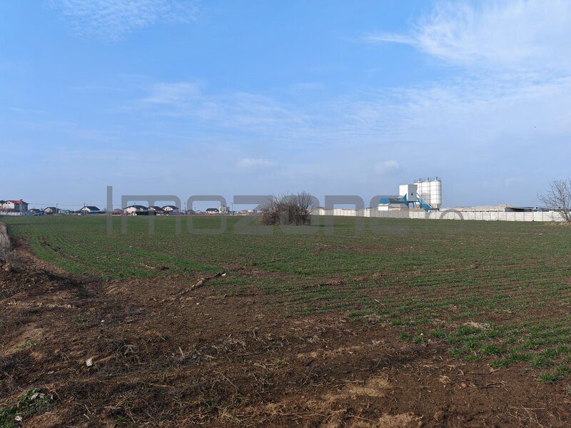Dragomiresti Valea - Langa Centura, teren 31.200 mp, 35E/mp