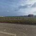 Dragomiresti Valea - Langa Centura, teren 31.200 mp, 35E/mp